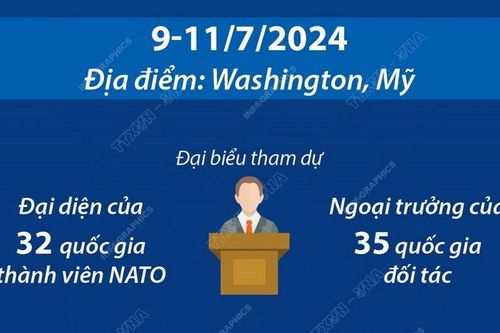 Thượng đỉnh NATO thảo luận nhiều vấn đề quan trọng