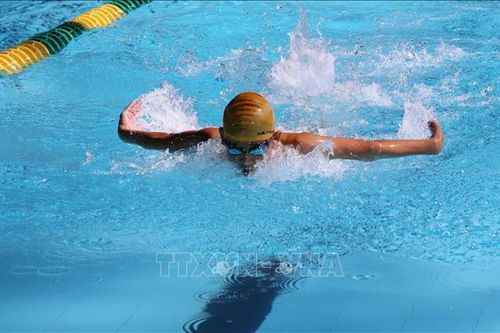 Khai mạc Giải Bơi và Lặn vô địch trẻ quốc gia năm 2024