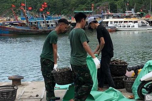 Hải Phòng: Hoàn thành dỡ phao xốp nuôi hàu tự phát trên vịnh Cát Bà
