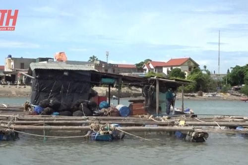 Xử lý dứt điểm tình trạng nuôi cá lồng, bè tự phát