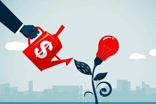 Định giá start-up tại một số thị trường ghi nhận tín hiệu phục hồi