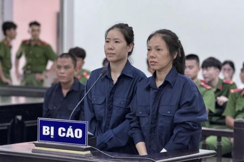 Lừa vay tiền bằng sổ hồng giả, 2 chị em vào tù