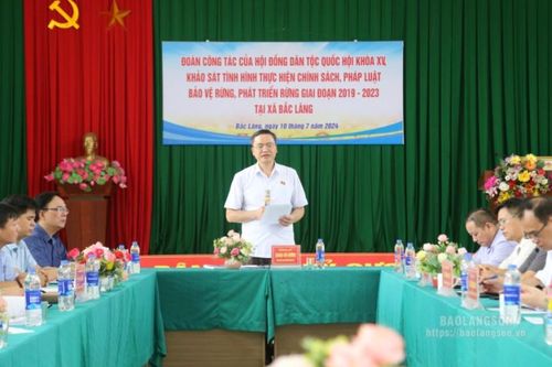 Khảo sát tình hình thực hiện chính sách, pháp luật về rừng tại huyện Đình Lập