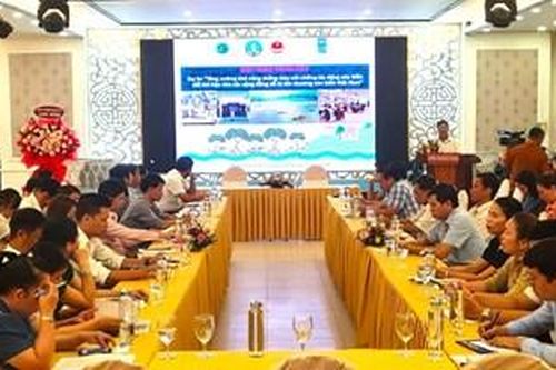 Trồng rừng, xây nhà chống chịu lụt bão cho người dân