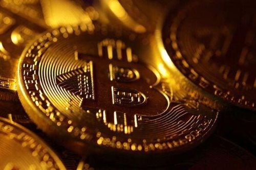 Tiền số Bitcoin rơi mạnh vài tuần qua vì chính phủ Đức