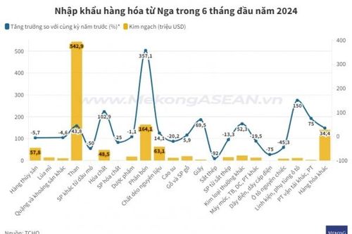 Việt Nam nhập khẩu mặt hàng gì nhiều nhất từ Nga?
