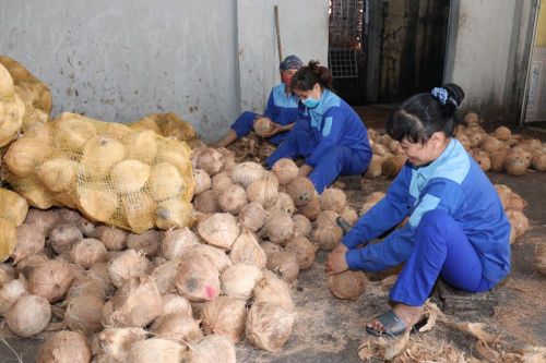 Bến Tre phát triển chuỗi giá trị ngành hàng nông sản