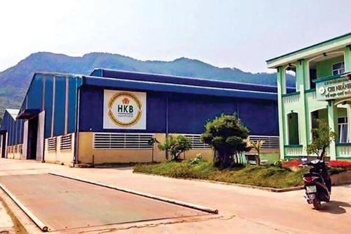 HKB báo lỗ 18 quý liên tiếp, giá cổ phiếu của công ty 'chìm sâu' dưới 1.000 đồng