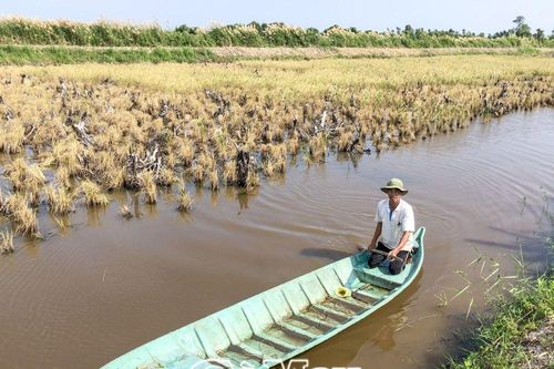 Cần đồng bộ trong quản lý đất đai