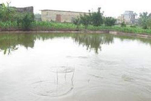 Thương tâm 3 trẻ mầm non tử vong do ngã xuống ao gần nhà