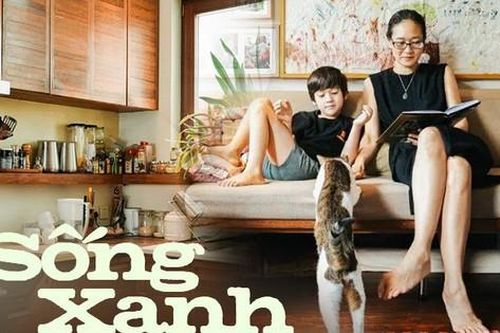 Cặp vợ chồng cải tạo lại ngôi nhà cổ để có thế sống mà không cần bật điều hòa suốt 17 năm