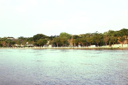 Diễn đàn văn hóa: Giấc mơ 'rừng trong phố'