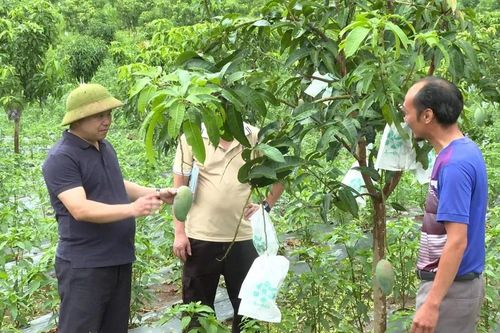 Bừng sáng Rạng Đông