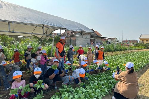Làng rau Thuận Nghĩa - điểm đến hấp dẫn của du lịch nông nghiệp