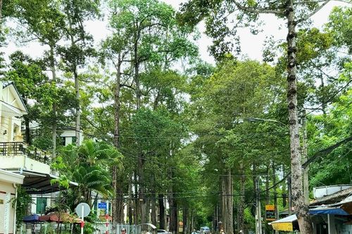 Trà Vinh: Thành phố xanh mát giữa dòng chảy hiện đại