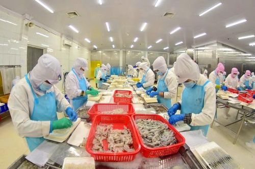 Kết quả phát triển nửa đầu năm của tỉnh Bạc Liêu tiếp tục củng cố niềm tin của Nhân dân
