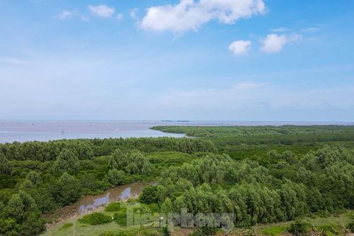 Việt Nam phấn đấu có hệ thống khu bảo tồn rộng 6,7 triệu ha