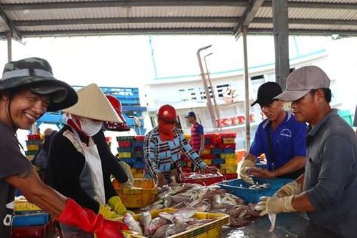 Bí thư Cà Mau nói về xử lý hình sự nạn khai thác thủy sản tận diệt
