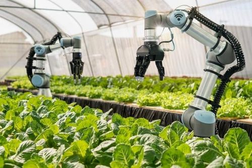 Kết nối sản phẩm khoa học, công nghệ đến gần hơn với doanh nghiệp