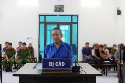Phá rừng để sửa nhà