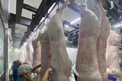 EU ban hành quy định sửa đổi về chứng nhận vệ sinh thú y trong xuất khẩu