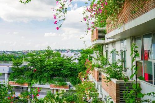 Trường ĐH xanh như resort, đẹp lãng mạn qua ống kính 'nhiếp ảnh gia' tay ngang