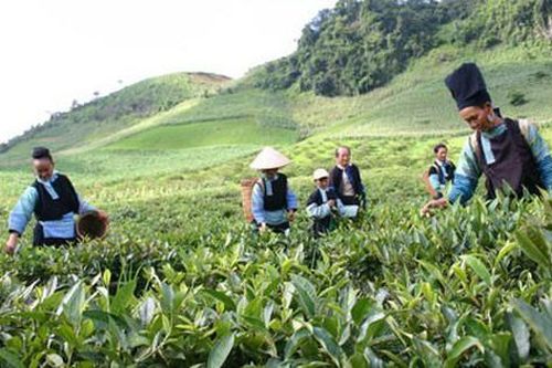 9 điểm mới đối với doanh nghiệp, cơ quan quản lý trong Luật Đất đai 2024