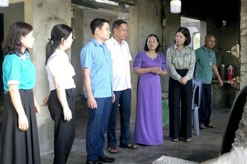 'Tổ hợp tác chè' nhằm sản xuất và chế biến chè sạch, an toàn theo tiêu chuẩn OCOP