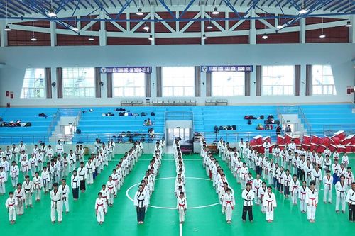 Khai giảng khóa tập huấn chuyên môn kỹ thuật Taekwondo tỉnh An Giang năm 2024