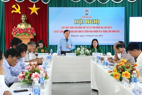 9 hợp tác xã mới được thành lập trong 6 tháng đầu năm