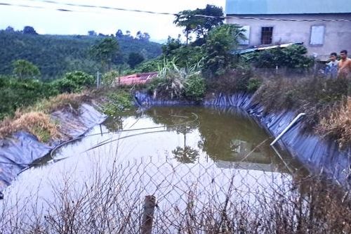 Bảo Lâm: Phê bình nghiêm khắc Chủ tịch UBND xã Lộc Phú vì để xảy ra vụ việc trẻ em đuối nước