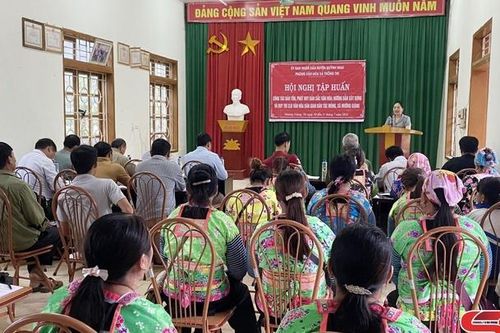 Tập huấn công tác bảo tồn, phát huy bản sắc văn hóa tại Mường Giàng