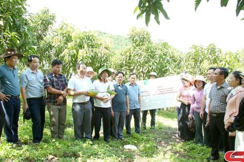 Đoàn công tác huyện Lộc Hà, tỉnh Hà Tĩnh làm việc tại huyện Yên Châu