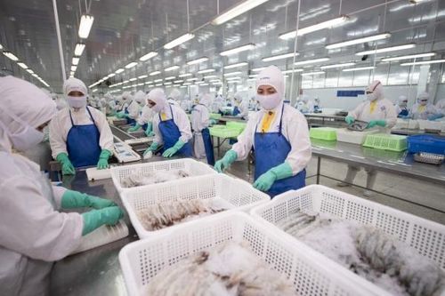 Thái Lan là thị trường xuất khẩu thủy sản lớn nhất của Việt Nam trong ASEAN