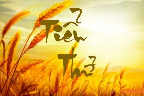 Tiết khí Tiểu thử đã đến và lưu ý trong ăn uống ai cũng cần biết nhưng hầu hết lại không biết
