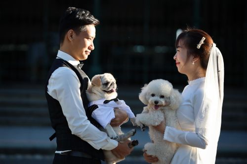 Mất cân bằng giới tính, nhiều đàn ông Việt Nam nguy cơ ế vợ