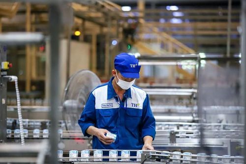 Khát vọng của thương hiệu làm thay đổi bản chất ngành sữa Việt