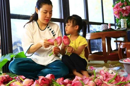 Tìm giải pháp phát huy giá trị cây sen