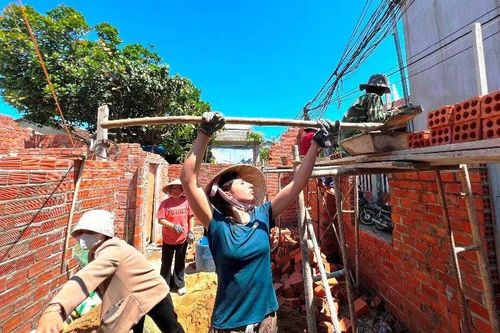 Đàn chim sẻ trở lại
