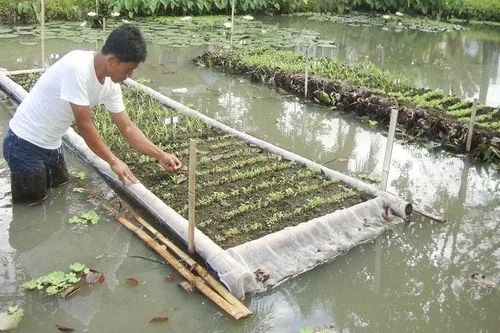 Kinh tế Philippines chuyển biến tích cực nhờ hiện tượng La Nina