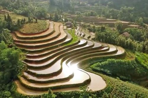 Hà Giang: Ruộng bậc thang Hoàng Su Phì hóa thành mặt gương khổng lồ lấp lánh mùa nước đổ