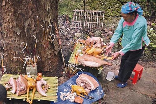 Đồng bào Giáy ở Lai Châu vui hội Háu Đoong 2024