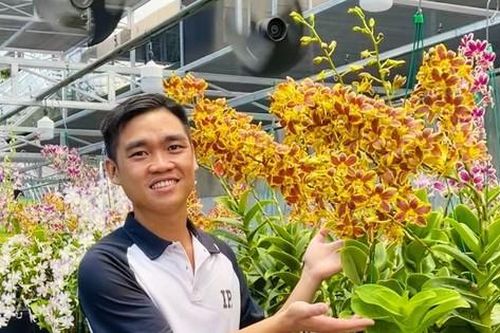 Vườn lan tiền tỉ của chàng trai 9x Bảo Lộc