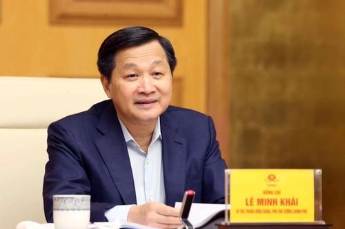 Phó Thủ tướng: Chặn việc lập doanh nghiệp để trốn thuế