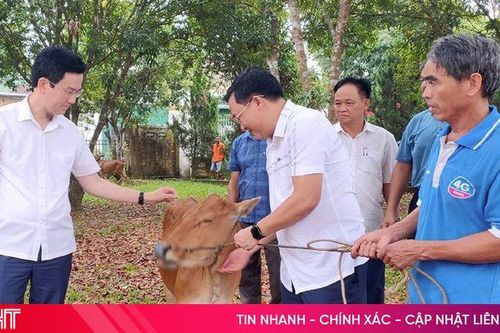 Thúc đẩy giải ngân nguồn vốn Chương trình MTQG giảm nghèo bền vững