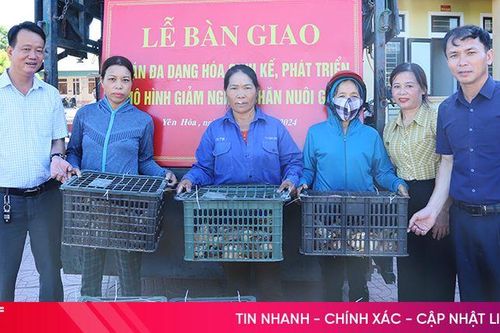 Trao 2.660 con gà giống tạo sinh kế cho người dân thoát nghèo