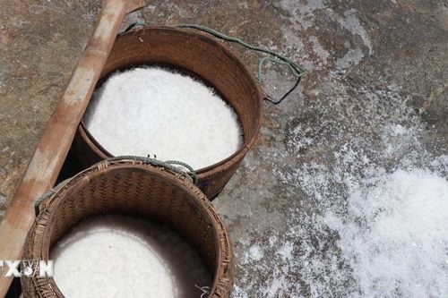 Quảng Ngãi: Phát hiện nơi làm muối của người Sa Huỳnh cổ, niên đại 2.000 năm