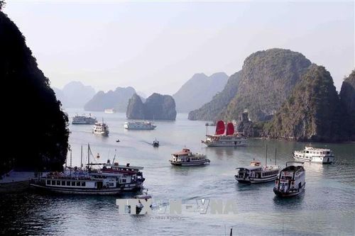 Quảng Ninh: Kiểm tra đột xuất các biệt thự, căn hộ chung cư kinh doanh lưu trú