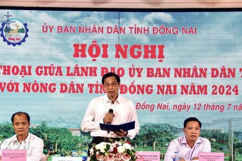 Đồng Nai: Chủ động liên kết hợp tác để chuyển đổi, nâng cao giá trị nông sản