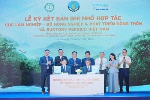 Hợp tác phát triển rừng bền vững, bảo tồn nguồn nước và trung hòa carbon